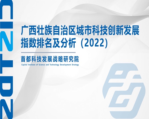 黄片月夜【成果发布】广西壮族自治区城市科技创新发展指数排名及分析（2022）